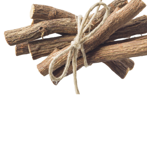 De zachtaardige beschermer