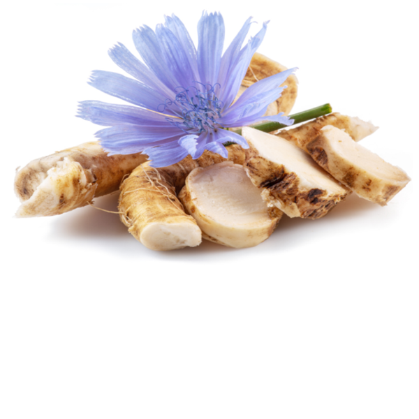 Goede bacteriën als brandstof