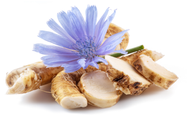 Inuline (Cichoreiwortel)