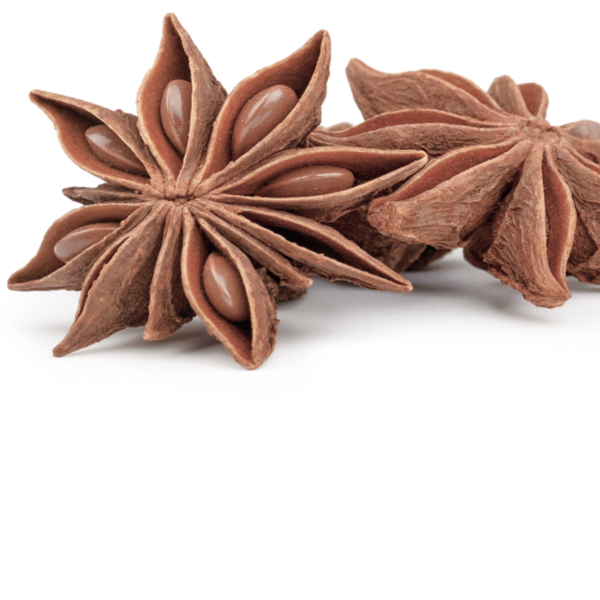 Oude spijsverteringsactivator